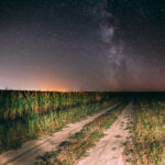 Night Starry Sky With Milky Way Glowing Stars And Country Road I